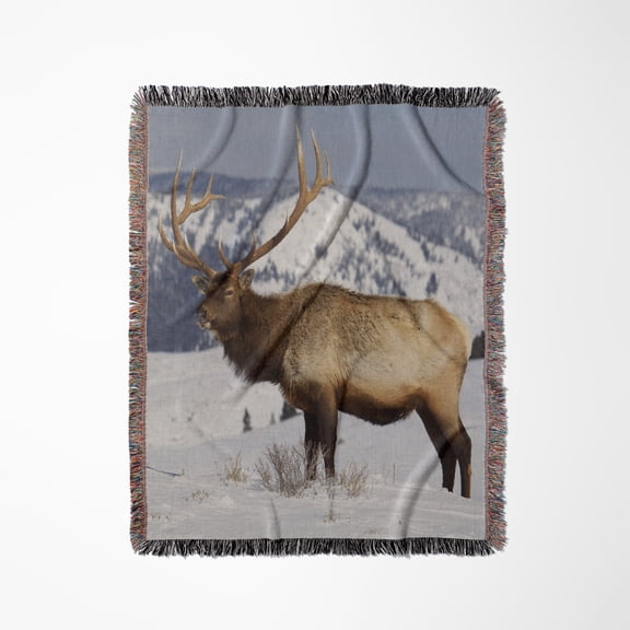 Rocky Mountain Bull Elk In Winter., Woven Blanket