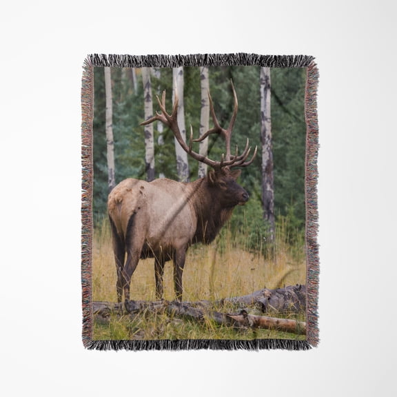 Rocky Mountain Bull Elk, Jasper National Park, Canada, Woven Blanket