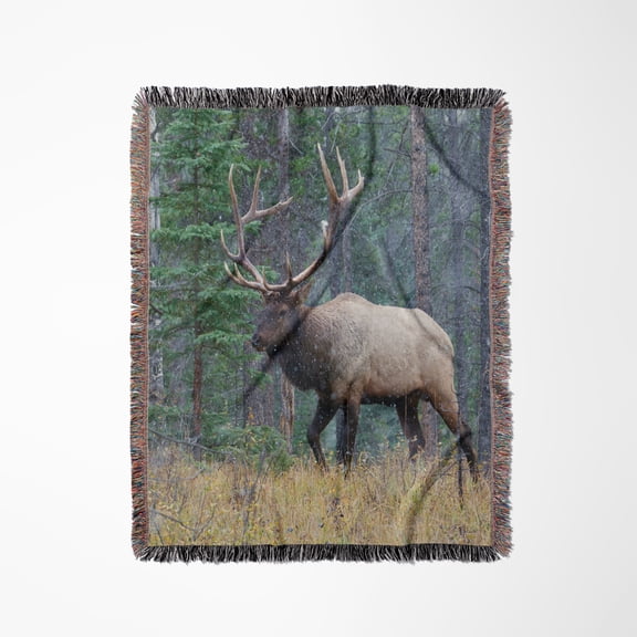Rocky Mountain Bull Elk Walking In Forest, Woven Blanket