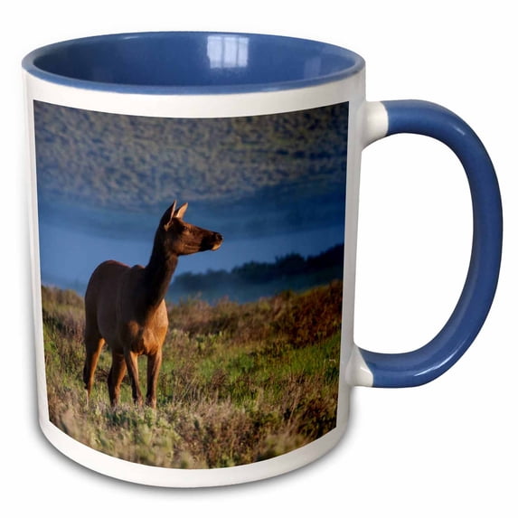 3drose, Rocky Mountain Cow Elk, Early Spring, 11oz Two-tone Blue Mug