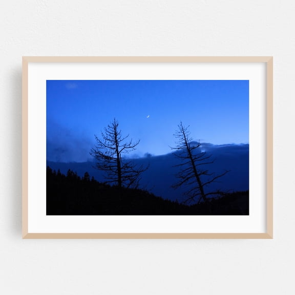 Rocky Mountain Crescent - Allenspark Colorado Photography Night Sky Moon Silhouette Landscape Nature Scenic Wilderness Oak Framed Wall Art Print 24 x 36 inches