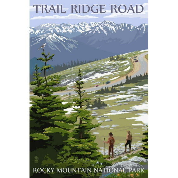 Rocky Mountain National Park, Colorado, Trail Ridge Road (16x24 Giclee Gallery Art Print, Vivid Textured Wall Decor)