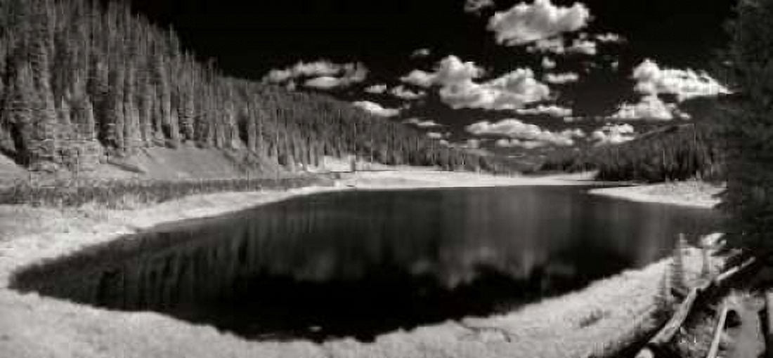 Rocky Mountain Park Canvas Art - George Johnson (10 x 20)