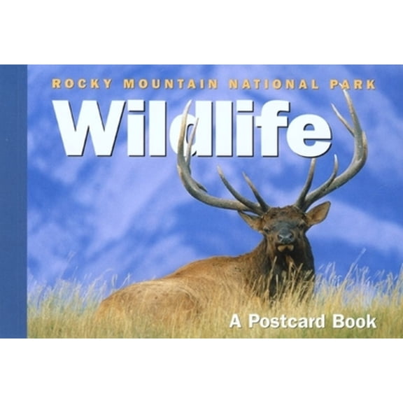 Rocky Mountain Trout Flies: A Postcard Book (Postcard Books)