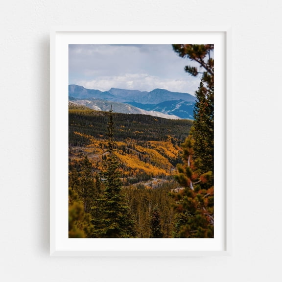 Rocky Mountain Valley in Autumn III - Colorado Photography Autumn Nature Landscape Mountain Forest Scenic Wilderness White Framed Wall Art Print 18 x 24 inches