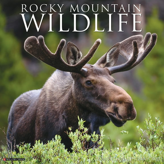 Rocky Mountain Wildlife 2026 Wall Calendar, (Paperback)
