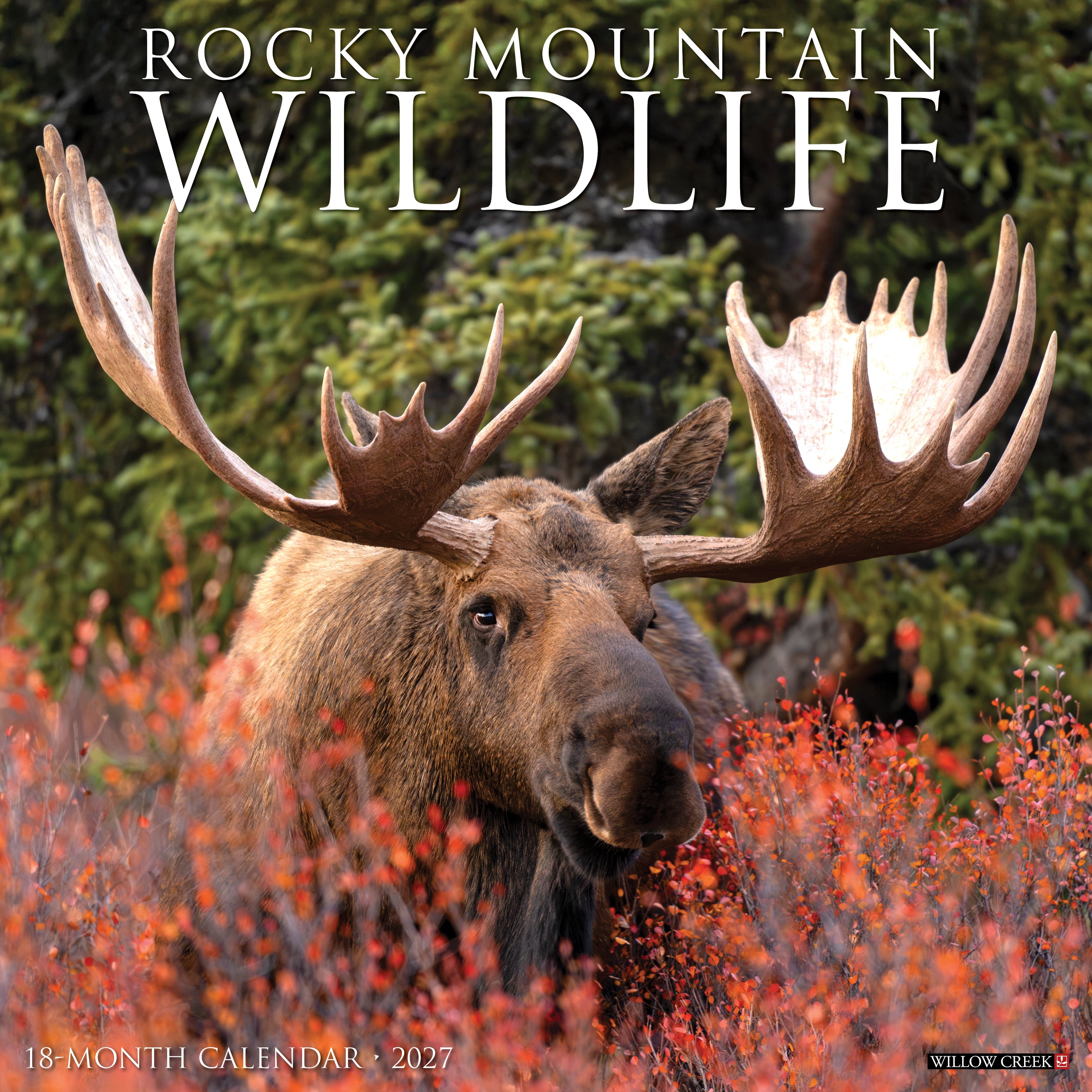 Willow Creek Press, Rocky Mountain Wildlife 2027 Wall Calendar