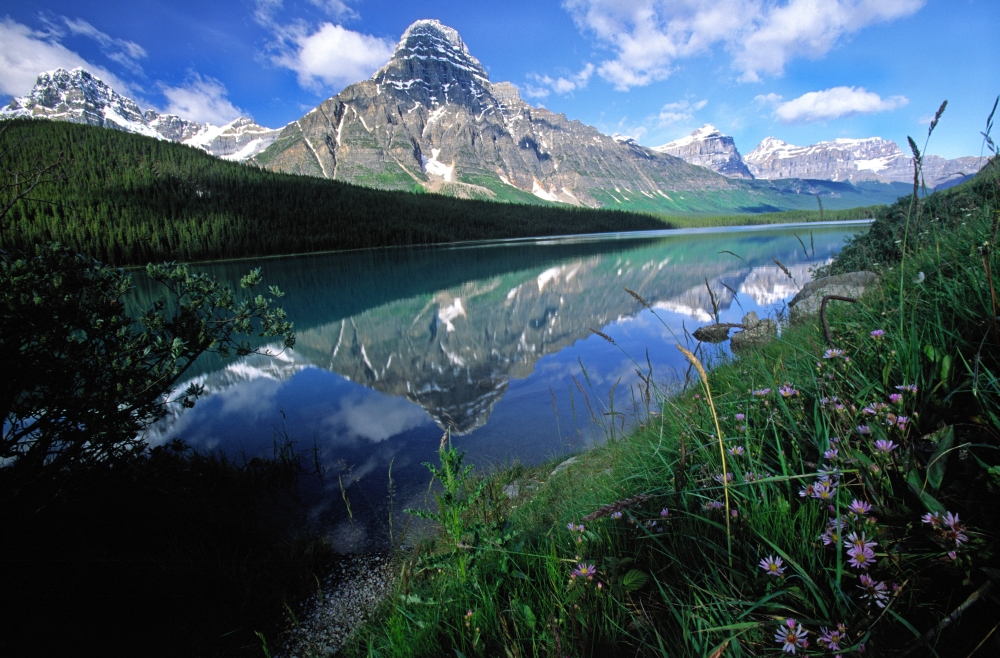Rocky Mountains Along The Columbia Icefields Parkway Alberta Canada Canvas Art - Robert Postma Design Pics (18 x 12)