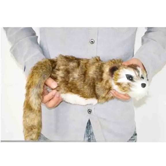 Rocky Raccoon Magic Tricks Mentalism Classic Interactive Close Up Fun Stage Magia Magie Magician Professional Props