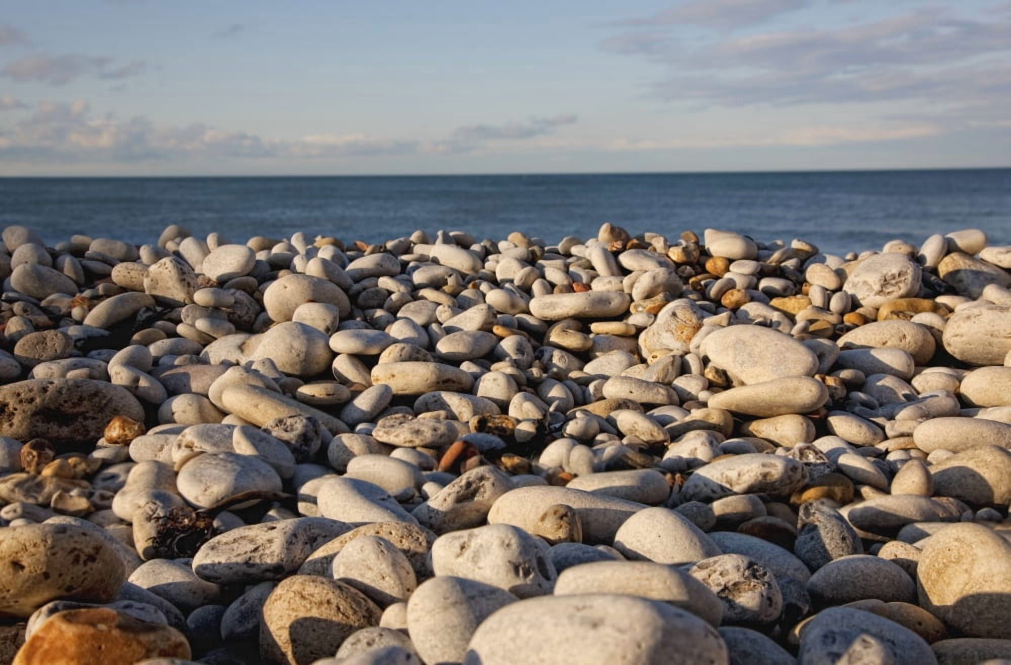 Rocky Shore Canvas Art - John Short Design Pics (38 x 24)