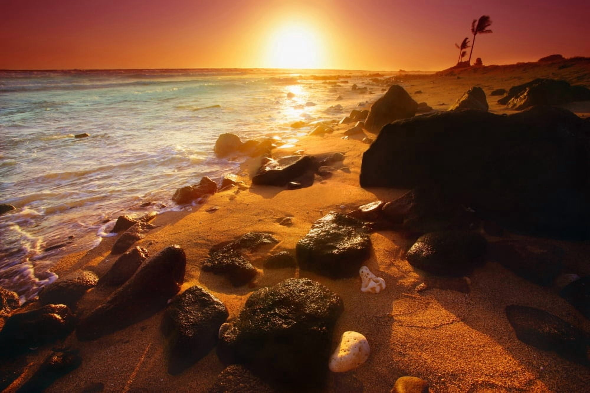 Rocky Shoreline Hawaii Usa Canvas Art - Don Hammond Design Pics (17 x 11)