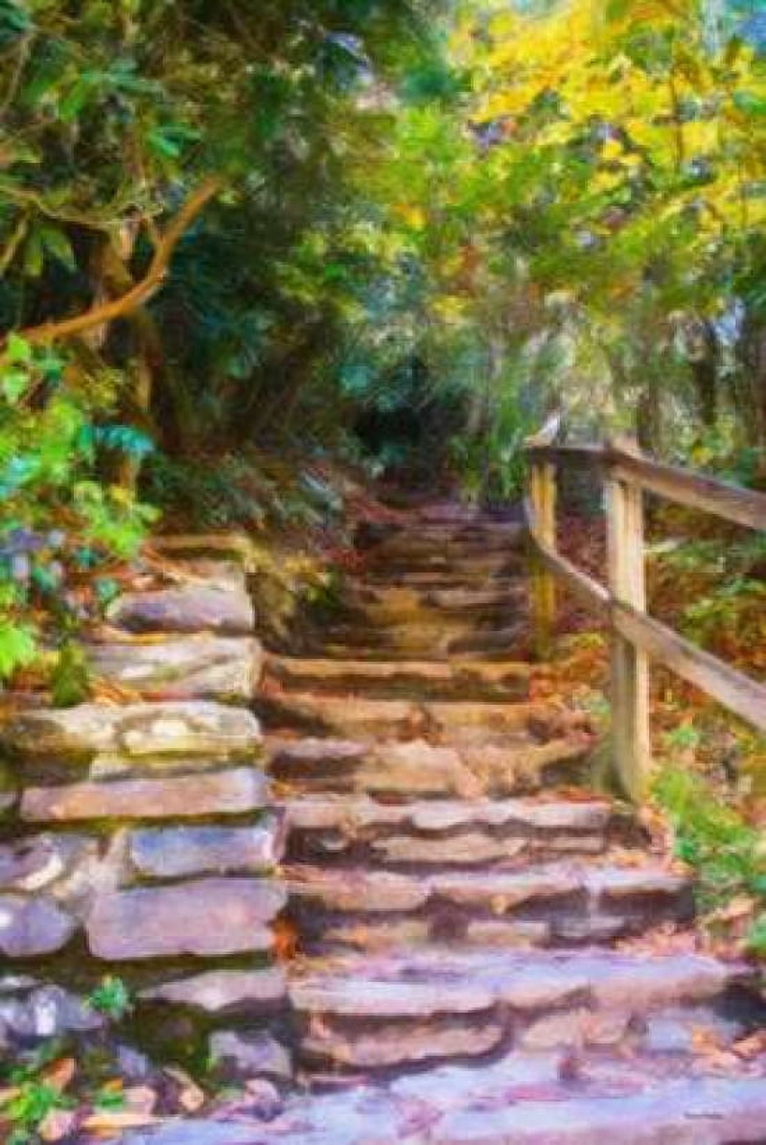 Rocky Steps Canvas Art - Ramona Murdock (24X36)