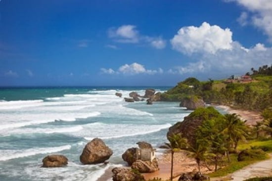 Rocky coastline Barbados at Bathsheba Canvas Art - Brian Jannsen DanitaDelimont (19 x 12)
