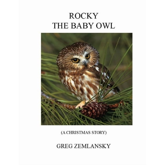 Rocky the Baby Owl (Paperback)