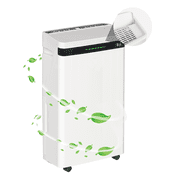 Rocyis Dehumidifier for Home With a 1.45 gallon(5.5 L) water tank, Auto Drain or Manual Drainage , 19 Pint Max(DOE) 500 sq. ft. for Basements & Large Room