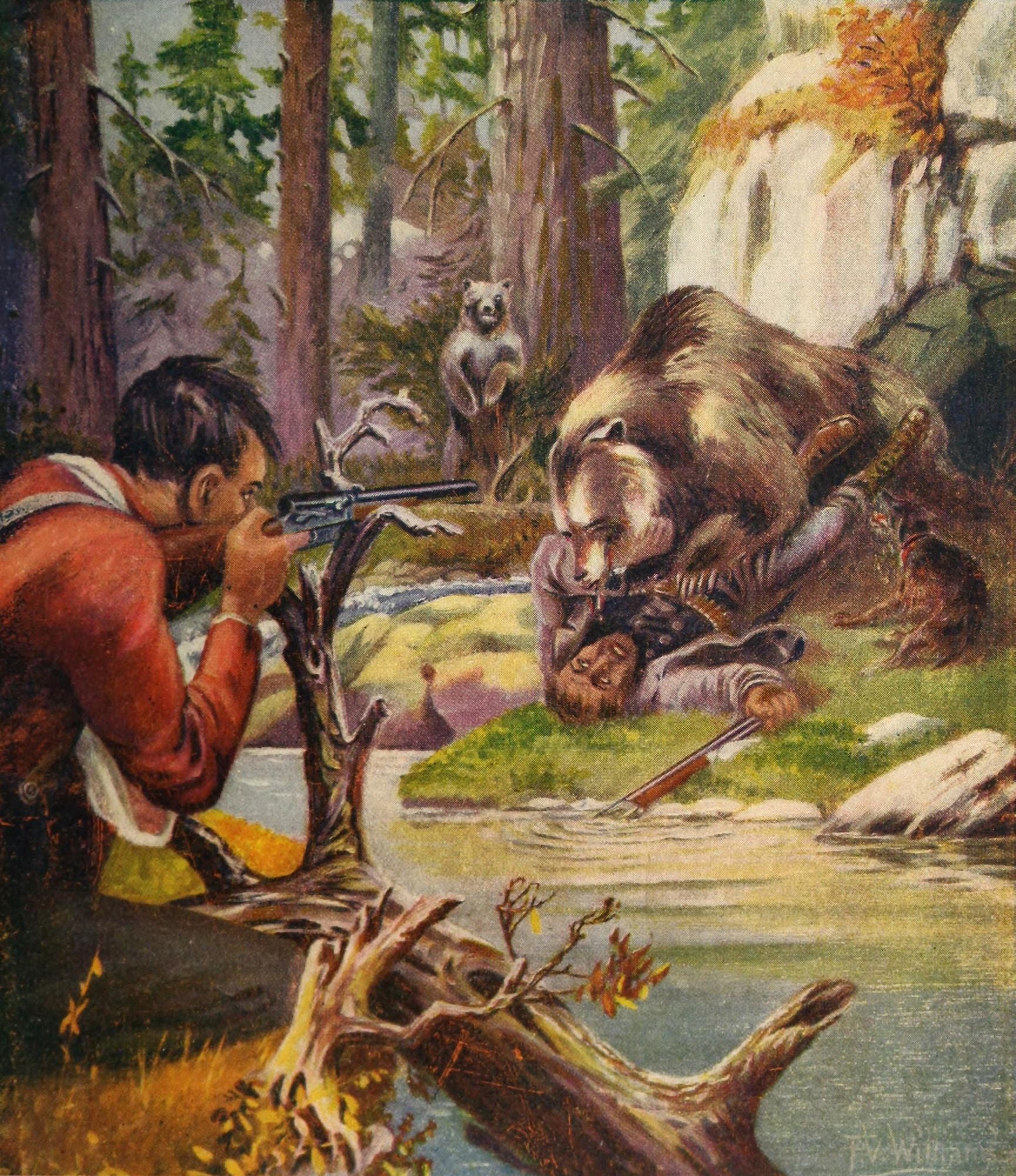 Rod & Gun in Canada 1916-22 Bear attack Canvas Art - FV Williams (24 x 36)