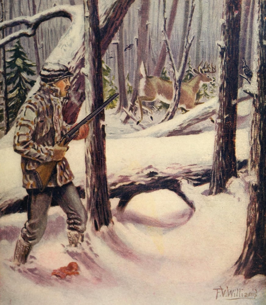 Rod & Gun in Canada 1916-22 Deer Hunting Canvas Art - FV Williams (24 x 36)