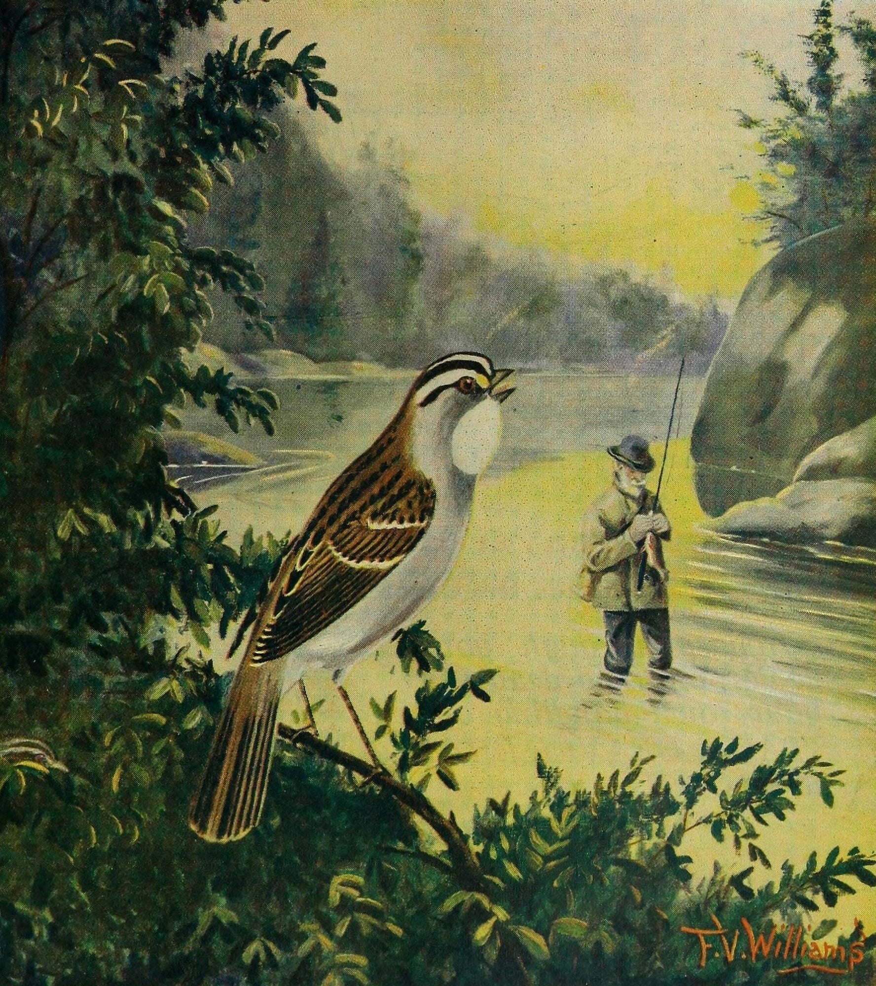 Rod & Gun in Canada 1916-22 Happy bird happy fisherman Canvas Art - FV Williams (18 x 24)