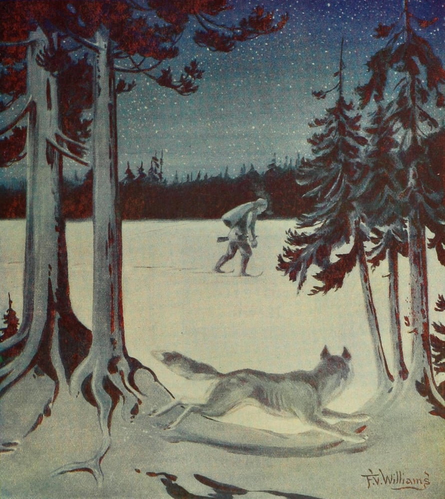 Rod & Gun in Canada 1916-22 Hunting by Moonlight Canvas Art - FV Williams (24 x 36)
