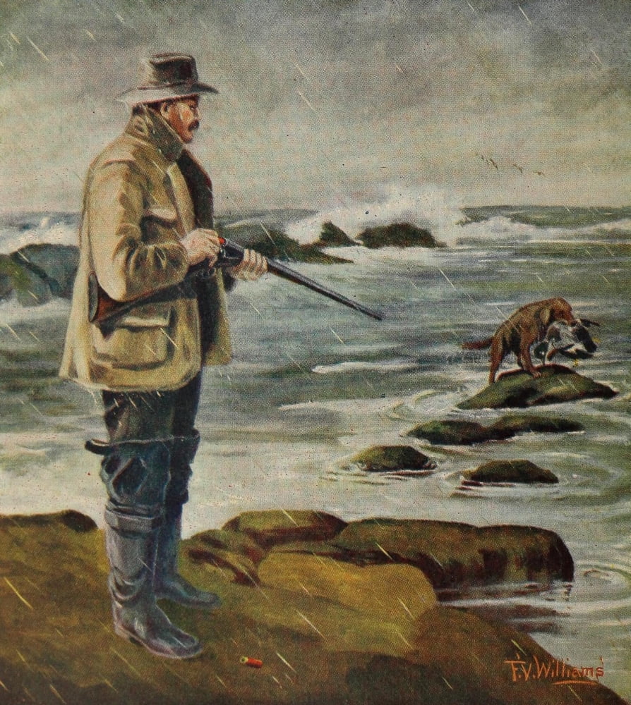 Rod & Gun in Canada 1916-22 Shooting Canvas Art - FV Williams (18 x 24)