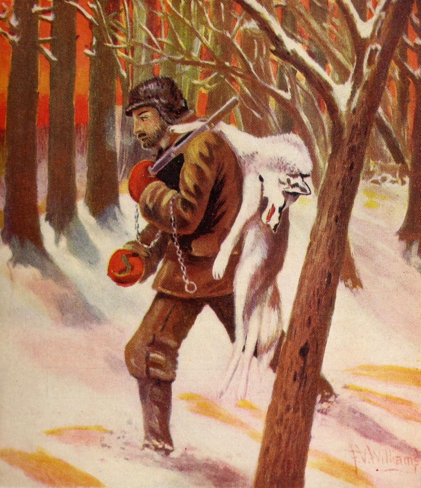 Rod & Gun in Canada 1916-22 Wolf Hunting Canvas Art - FV Williams (18 x 24)
