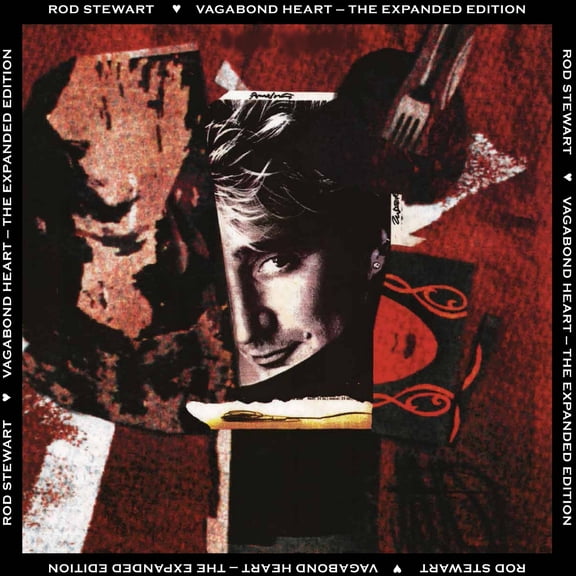 Rod Stewart - Vagabond Heart - Music & Performance - Vinyl