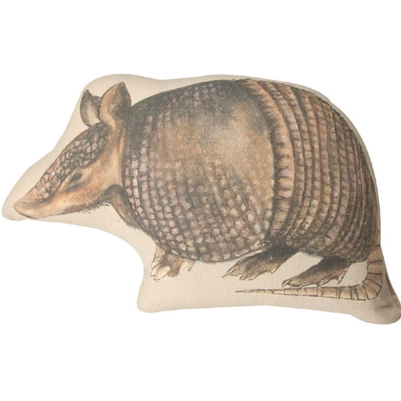 Southwest Armadillo Pillow