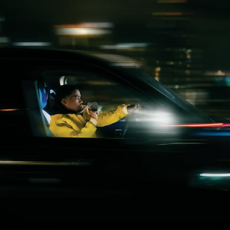 Pennington Recipe Selects Birder's Blend, Wild Bird Seed and Feed, 14 lb. Bag, 1 Pack, Dry