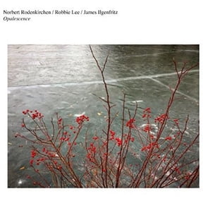 Rodenkirchen,Norbert / Lee,Robbie - Opalescence - Classical - Vinyl