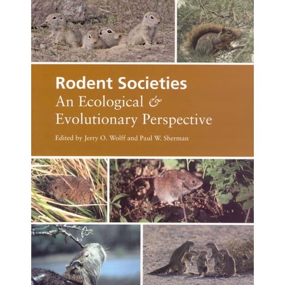 Rodent Societies: An Ecological &amp; Evolutionary Perspective, (Paperback)