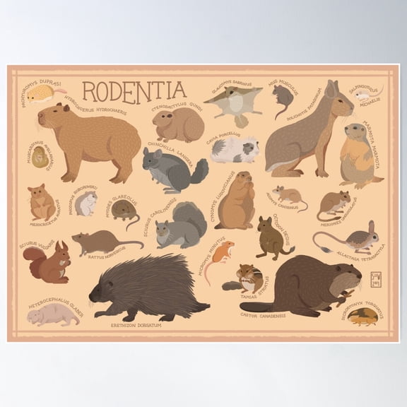 Rodents Illustration Poster Wall Art, Modern Wall Decor For Living Room Bedroom, 8x12 UNFRAMED