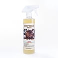 thumbnail image 1 of Rodeo Cowhide Rugs Rodeo Cowhide Shampoo Rug Cleaner, 1 of 2