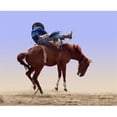 thumbnail image 1 of Rodeo Experience, 1 of 1