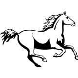 Rodeo Picture Art - Boys Bed Room - Peel & Stick Sticker - Vinyl Wall Decal 20x20