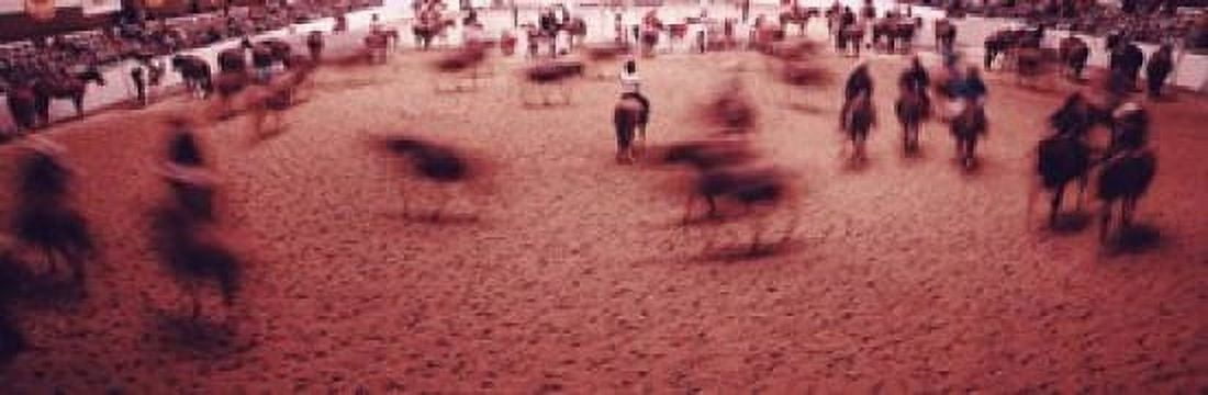 Rodeo arena Fort Worth Stock Show and Rodeo Fort Worth Texas USA Canvas Art - Panoramic Images (18 x 6)
