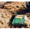 thumbnail image 1 of Rodeoscopique - Rodeoscopique - Music & Performance - CD, 1 of 1