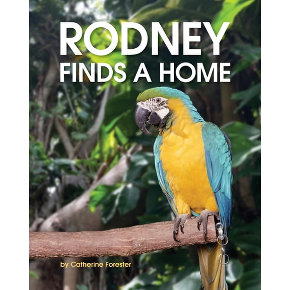 Rodney Finds a Home, (Paperback)