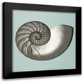 thumbnail image 1 of Rodriguez, Jairo 20x20 Black Modern Framed Museum Art Print Titled - Noir Shell on Teal II, 1 of 5