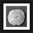 thumbnail image 1 of Rodriguez, Jairo 26x26 Black Ornate Wood Framed with Double Matting Museum Art Print Titled - Sun Dollar I, 1 of 4