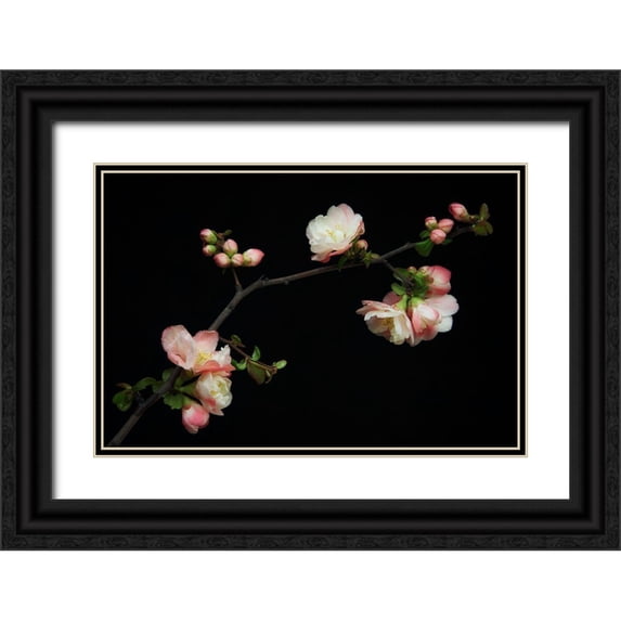 Rodriguez Maldonado, Antonio 18x13 Black Ornate Wood Framed with Double Matting Museum Art Print Titled - Manzano Silvestre En Flor