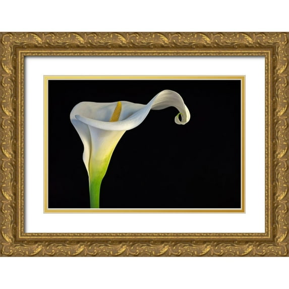 Rodriguez Maldonado, Antonio 32x23 Gold Ornate Wood Framed with Double Matting Museum Art Print Titled - Cala-Lirio De Agua