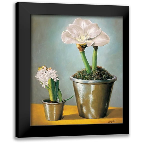Roelofs, Wouter 15x17 Black Modern Framed Museum Art Print Titled - The difference