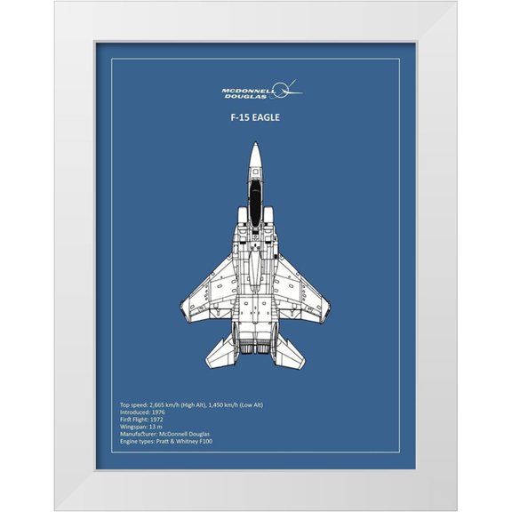 Rogan, Mark 12x14 White Modern Wood Framed Museum Art Print Titled - BP F15 Eagle