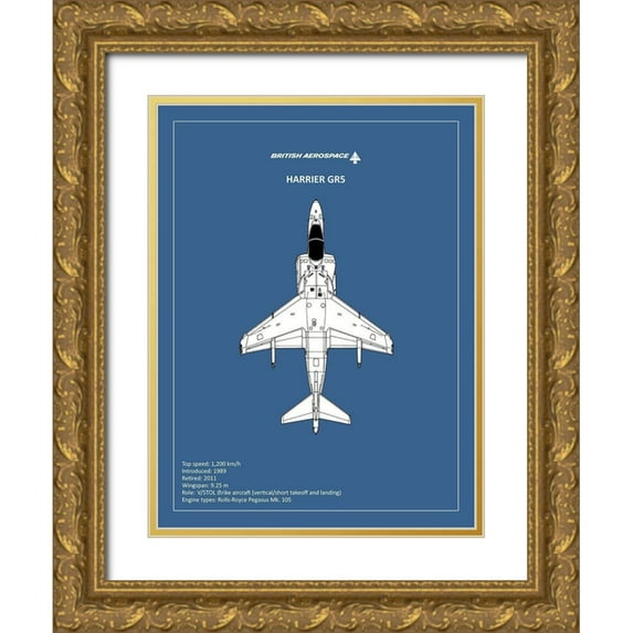 Rogan, Mark 15x18 Gold Ornate Wood Framed with Double Matting Museum Art Print Titled - BP BAE HarrierGR5