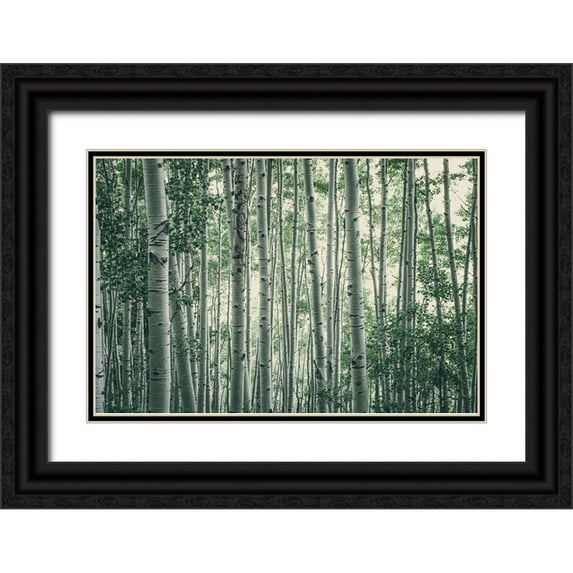Rogers, Eunika 14x11 Black Ornate Wood Framed with Double Matting Museum Art Print Titled - Obscured By Alters