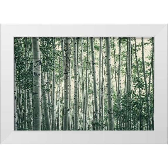 Rogers, Eunika 24x17 White Modern Wood Framed Museum Art Print Titled - Obscured By Alters