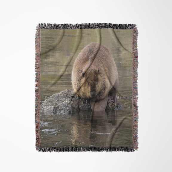 Rogue River, Oregon, Usa. Beaver Sitting On A Rock In A Stream., Woven Blanket