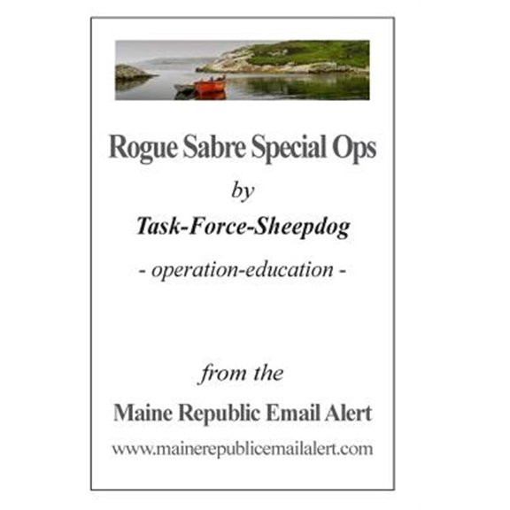 Rogue Sabre Special Ops : By Task-force-sheepdog - Operation-education