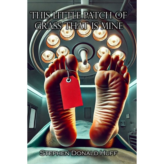 Of Rogues, Thirteen: A Tapestry of Twist This Little Patch of Grass That is Mine: Shores of Silver Seas: Collected Short Stories 2000 - 2006, Book 4, (Paperback)