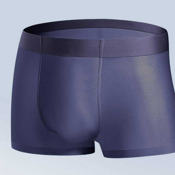 ZQUUVOU Men's Ice Silk Boxer Briefs Cooling Boxer Shorts Invisibles Breathable Underwear Lightweight Comfort Fall Fashion Navy